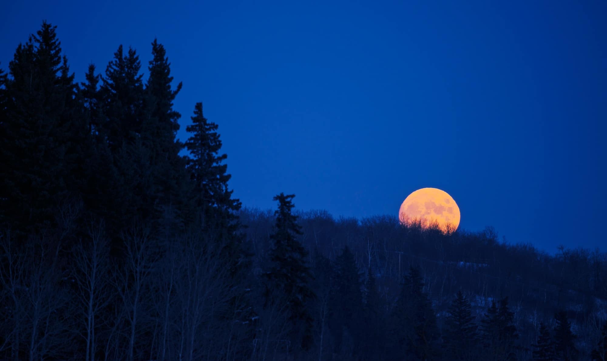 A full moon in a dark blue night sky.