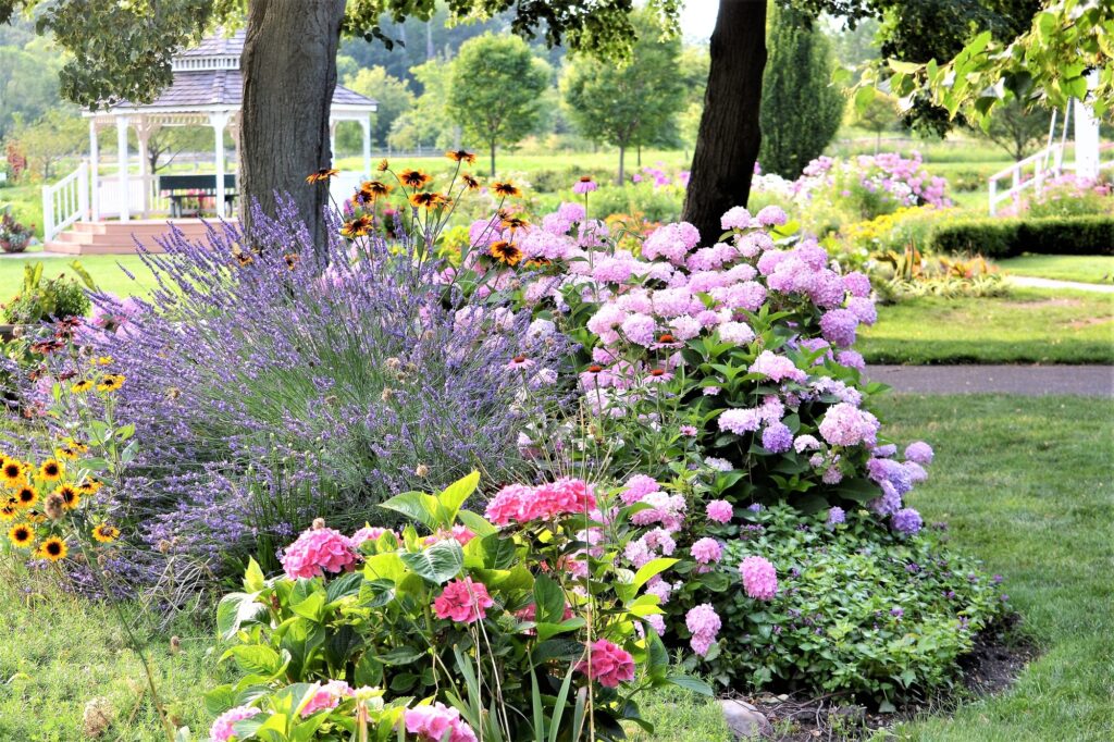 Beautiful flower garden