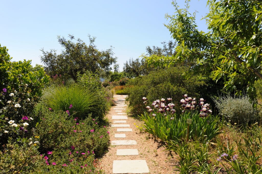 Beautiful landscape Mediterranean garden in springtime