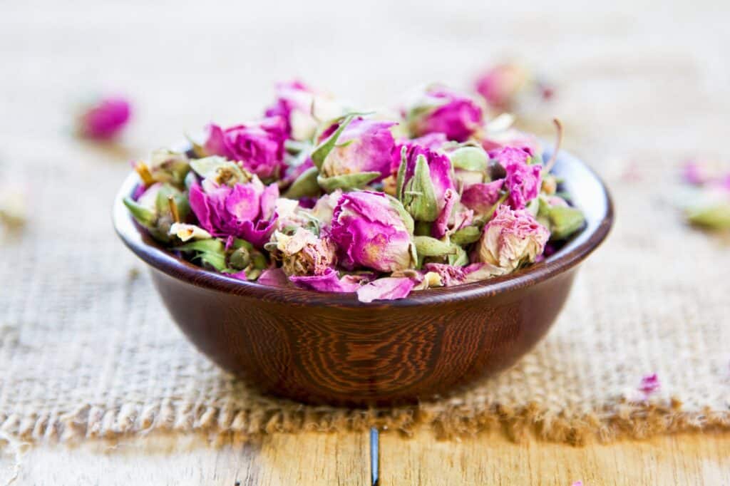 Dried roses bud