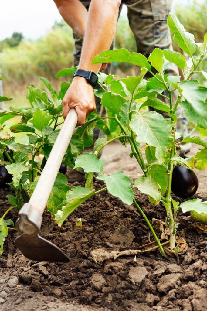 Farmer hand with the hoe in the field