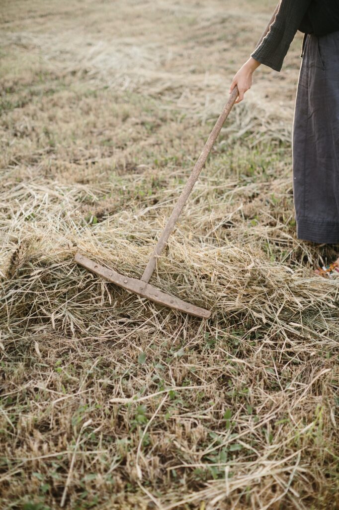 Farmer Using Rake to Work in Field of Freshly Harvested Hay