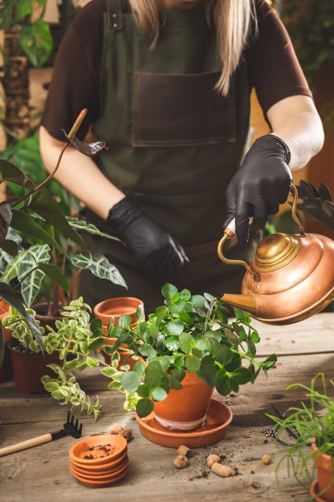Gardener watering plants with a metal can