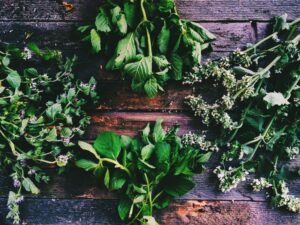 Herbs
