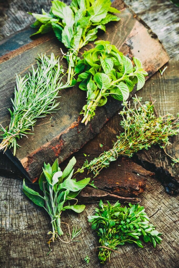 Herbs
