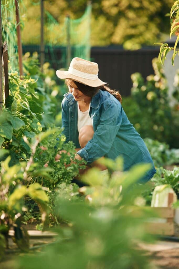 In straw hat. Beautiful young woman is gardening