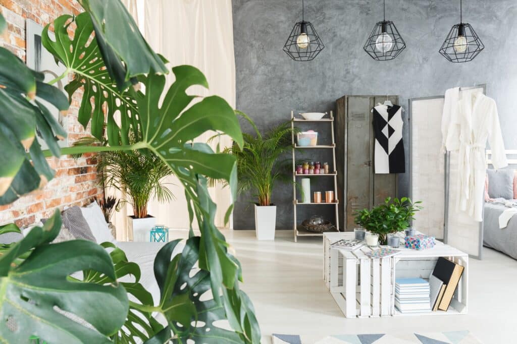 Living room with plants