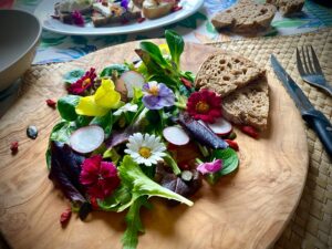 Salad with edible flowers