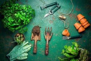 Spring gardening concept - gardening tools with plants, flowerpots and soil