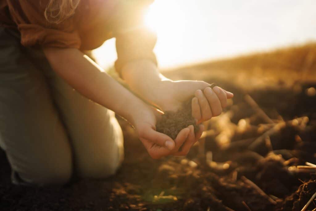 Woman farmer's hand touch soil, check its health before growing plants, seeds. Agriculture concept