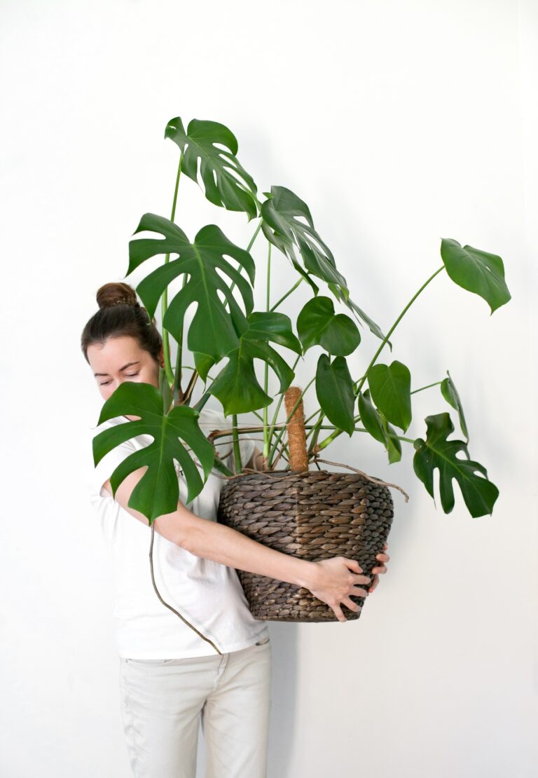 Woman in white t shirt holding a potted monstera green plant at home