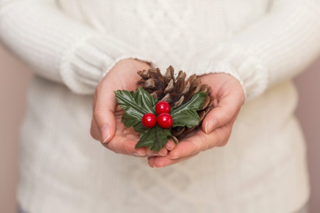Holding a pine cone and a mistletoe