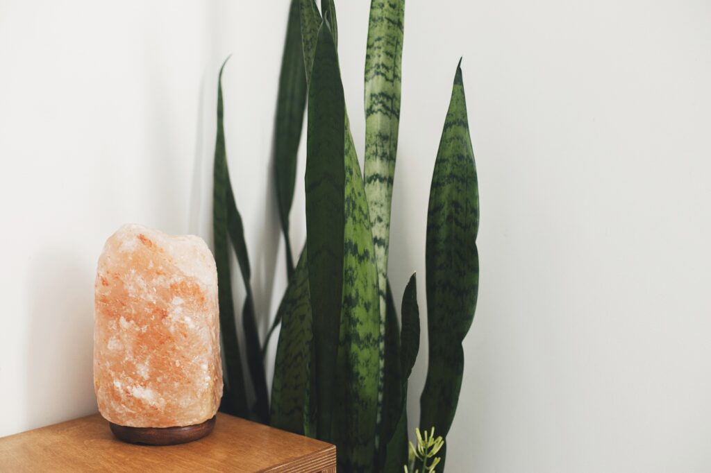 Stylish salt lamp on wooden bedside table and snake plant in boho room. Calm and relax in bedroom