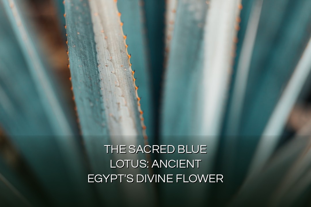 The Sacred Blue Lotus: Ancient Egypt’s Divine Flower | Plantanica