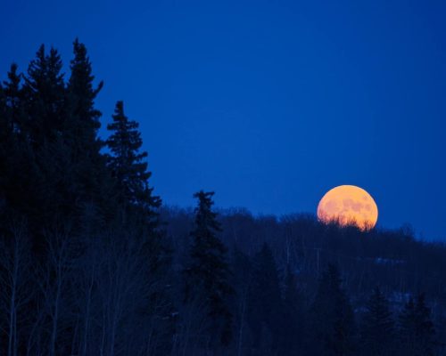 A full moon in a dark blue night sky.