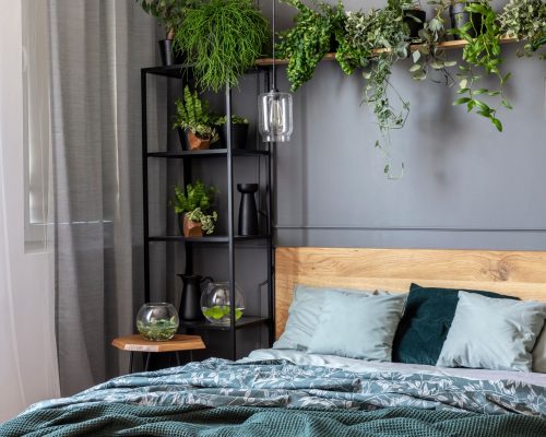 Grey bedroom interior with fresh plants on metal rack with decor