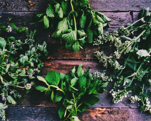 Herbs
